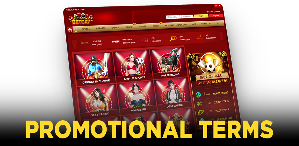 Promotional Terms