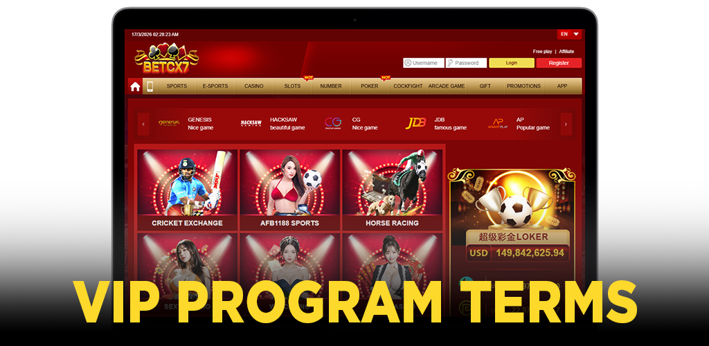 VIP Program Terms